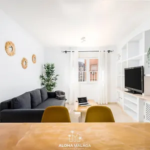 https://wonderful-malaga-centro-apartment-by-alohamalaga.1costadelsol.com